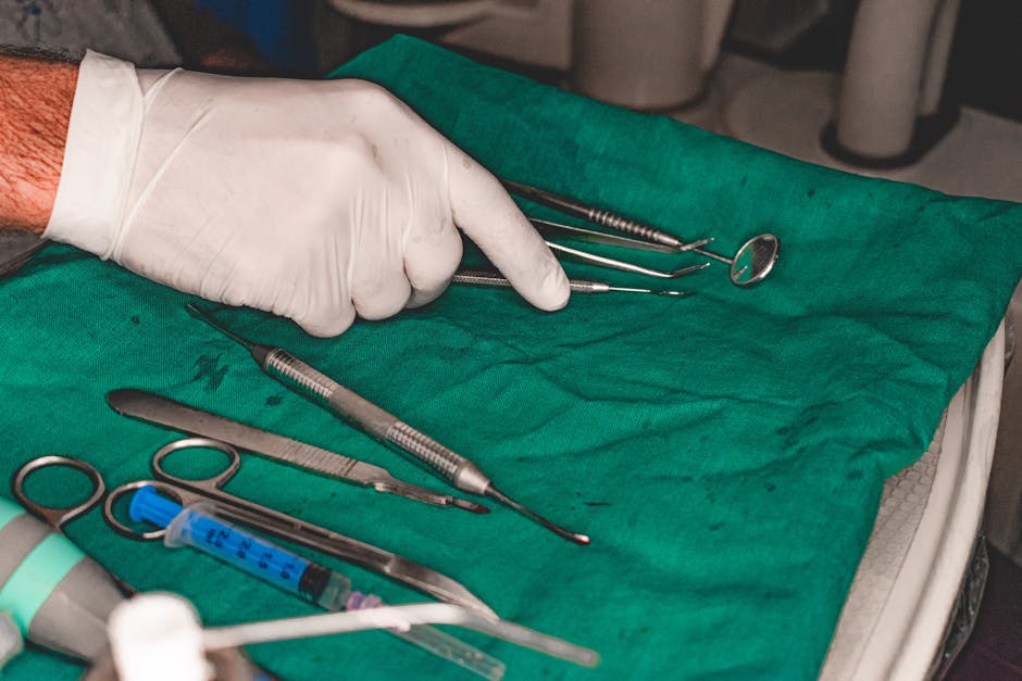 Free SEO Tools: Boost Your Website Without Breaking the Bank